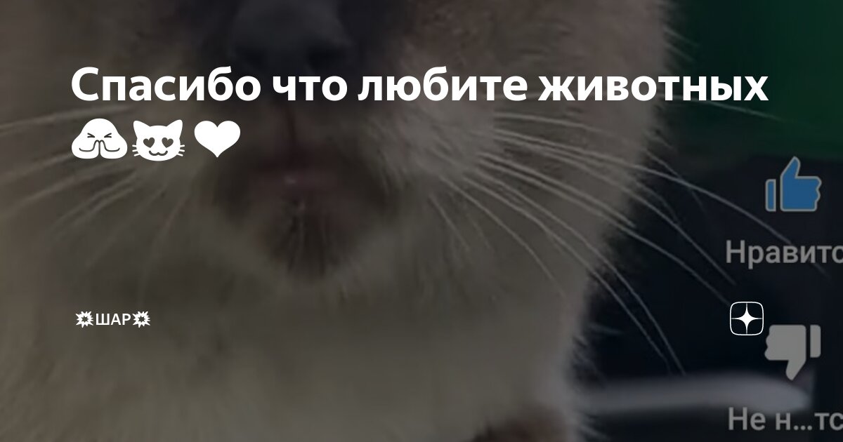 Открытки хорошего настроения удачи. Книга кот на счастье тамара крюкова. Книга тамары крюковой кот на счастье. Крюкова кот на счастье книга. Правила счастья.