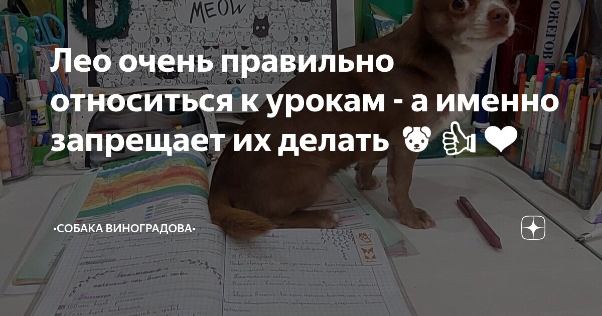 К а к п р а в е л ь н о п и с а т ь. Имена собственные пишутся с заглавной буквы. Слитное и раздельное написание отрицательных наречий. Как пишщуца правильно слава. Правописание слов.