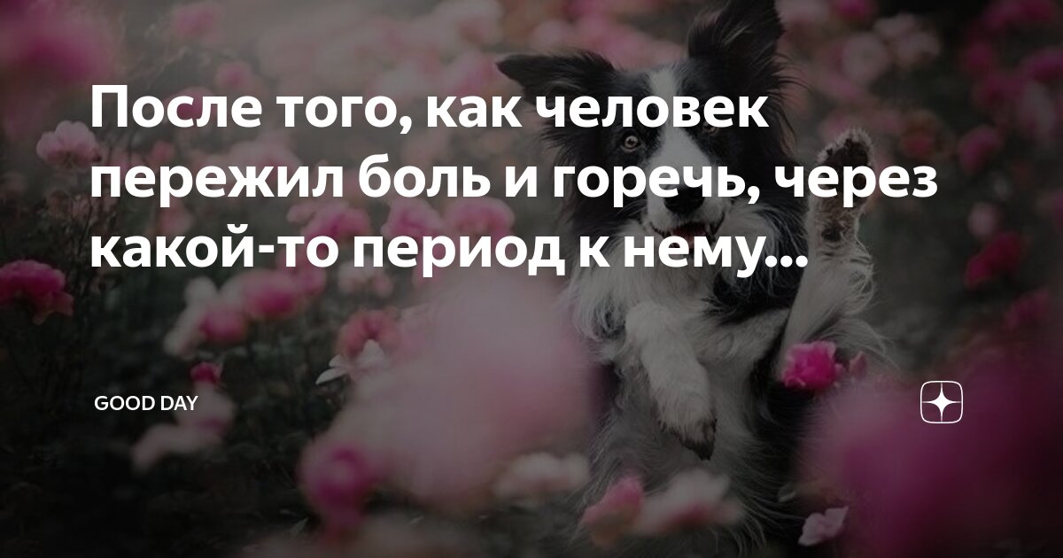 Самбурская карандашом. Анастасия самбурская 2020. Настасья самбурская ноги. Самбурская горький вкус. Самбурская горький вкус.