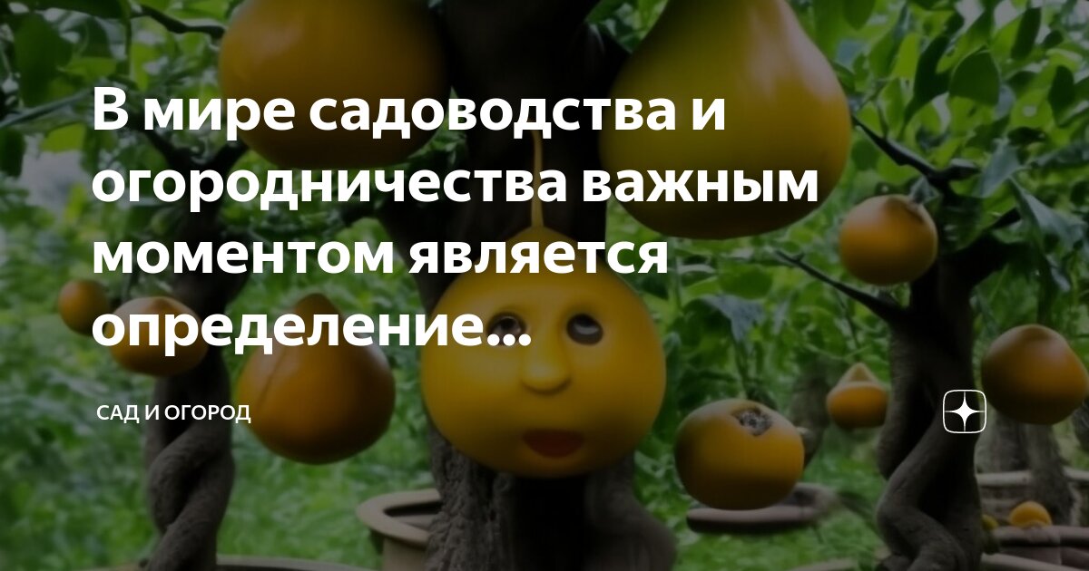 Правильное и полное определение. Правильное и полное определение. Правильное и полное определение. Правильное и полное определение. Правильное и полное определение.