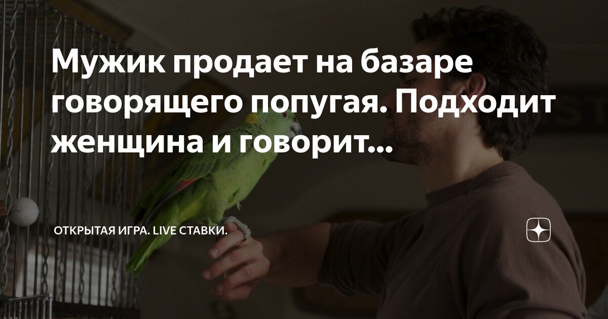 Воробьи на ветке фото. Ласточка птица. Ребенок с птицей в руках. Птицы на даче. Птица ветра.