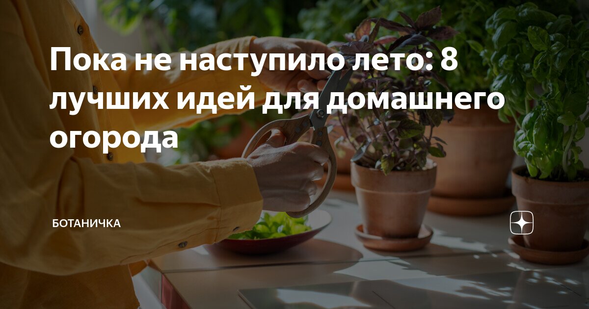 Выбор и подготовка почвы