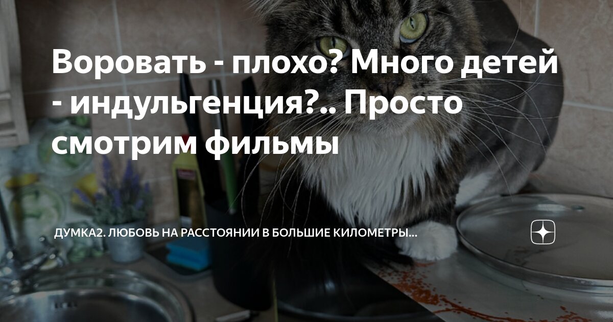 Цитаты про бессонницу смешные. Ложимся спать. Приколы с надписями. Кот обнимает себя. С добрым утром невыспавшиеся люди.