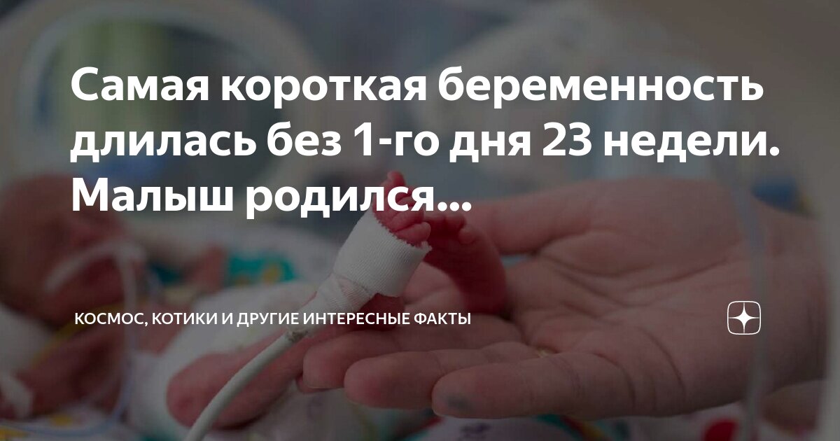 Расчёт даты родов по последним месячным таблица. Календарь беременности по неделям. Кто во сколько недель родил. На каком сроке ребенок может родиться доношенным. Кто во сколько недель родил.