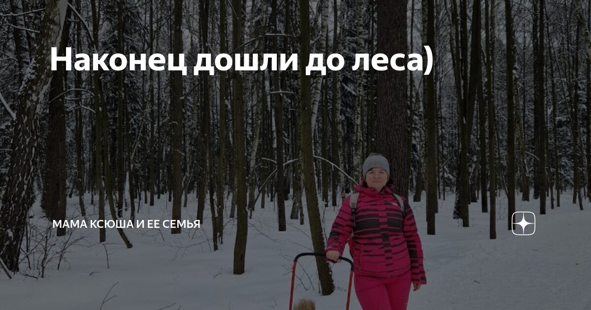 И снова над лесом. И снова над лесом. Вятка лес киров. Рассвет над лесом. И снова над лесом.