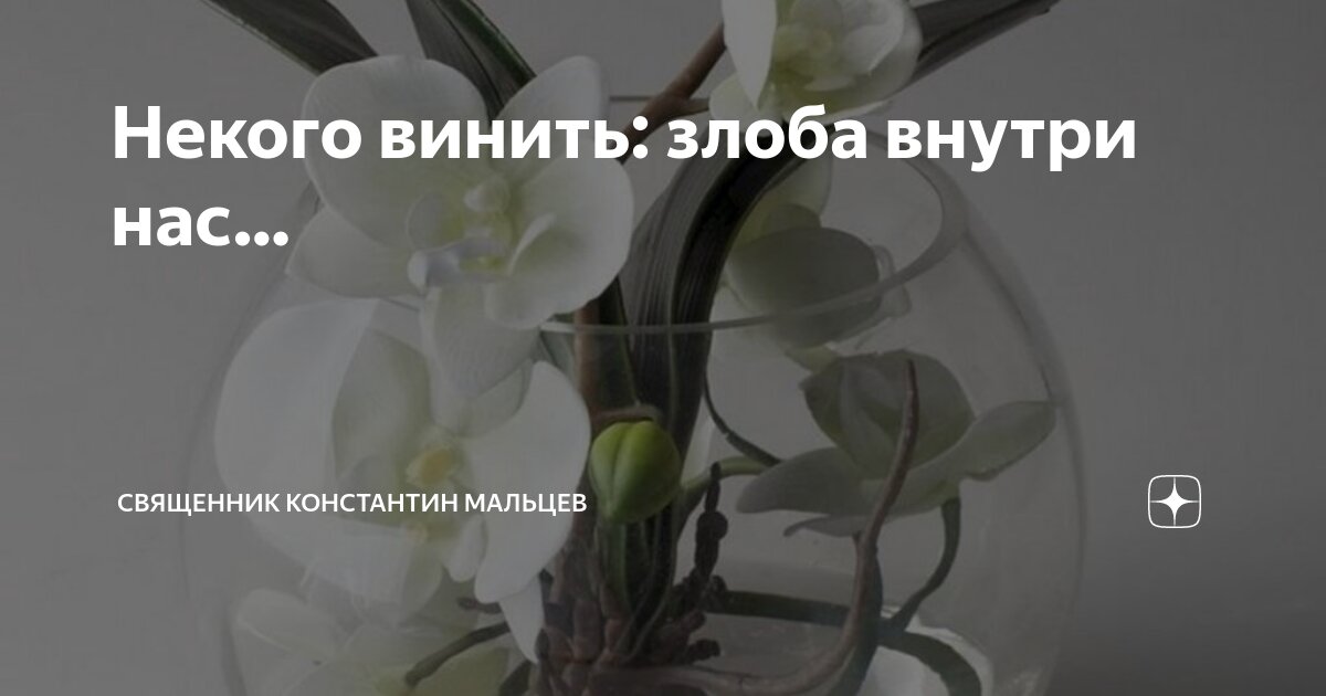 Песня нам некого винить за нелюбовь