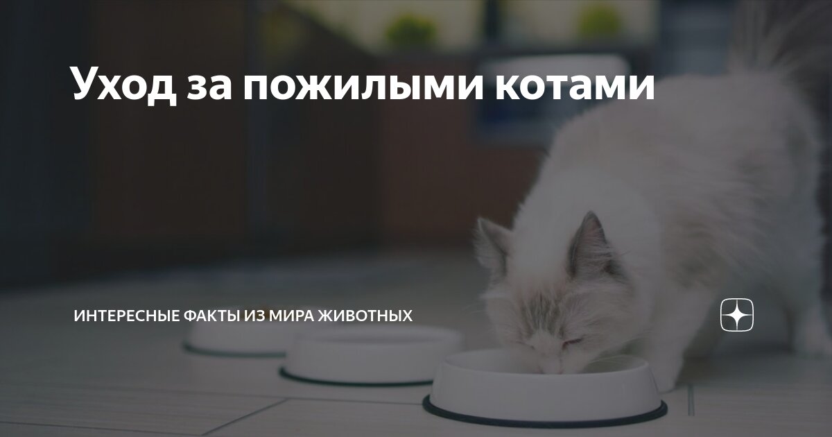 Подвижность поясницы. Радость жизни. Здоровый счастливый человек. Мир подвижности. Упражнения для подвижности голеностопного сустава.