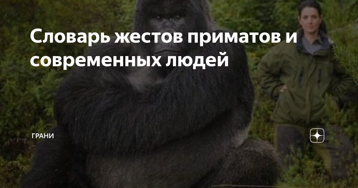 доказательства животного происхождения человека. из современных человекообразных обезьян человек. из современных обезьян человек имеет наибольшее родство с. семейство человекообразные. из современных человекообразных обезьян человек.