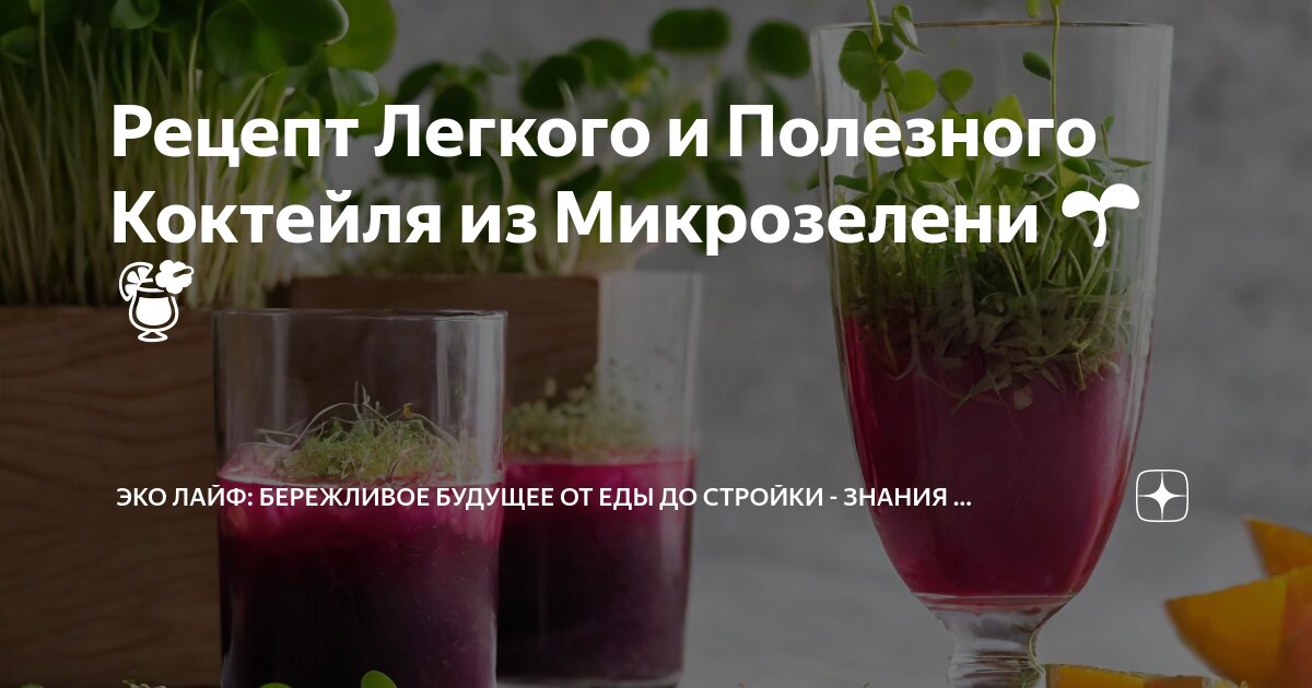 сурина). пряные травы. обитель лесной ведьмы травник. горная мята чабрец. душица обыкновенная фитотерапия.