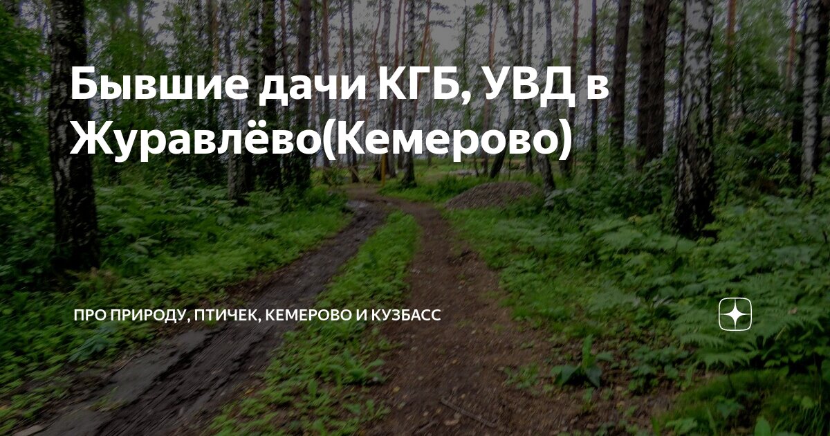 Купить дачу в Кемерово