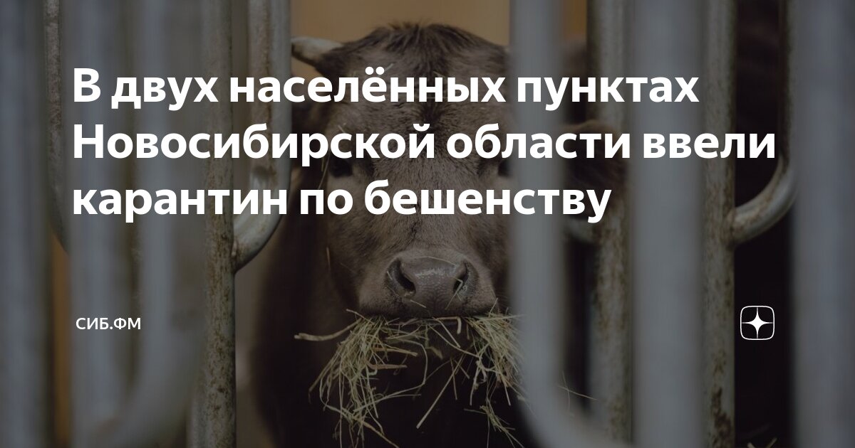 Пунктом 2 статьи 39. 39 тк. 39 3 земельного кодекса рф. 10. 39.