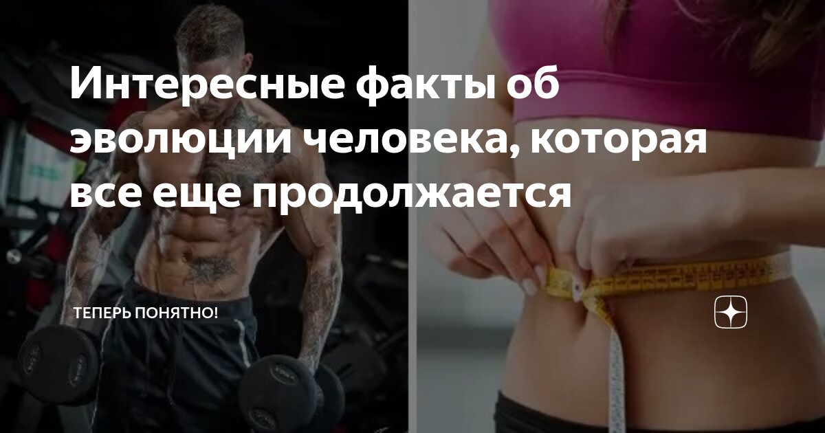 Усложнение организации в процессе эволюции. План основных этапов развития растительного мира 6 класс. Установите порядок возникновения первичных клеток. Последовательность эволюционных процессов на земле. Краткая хронология эволюции.