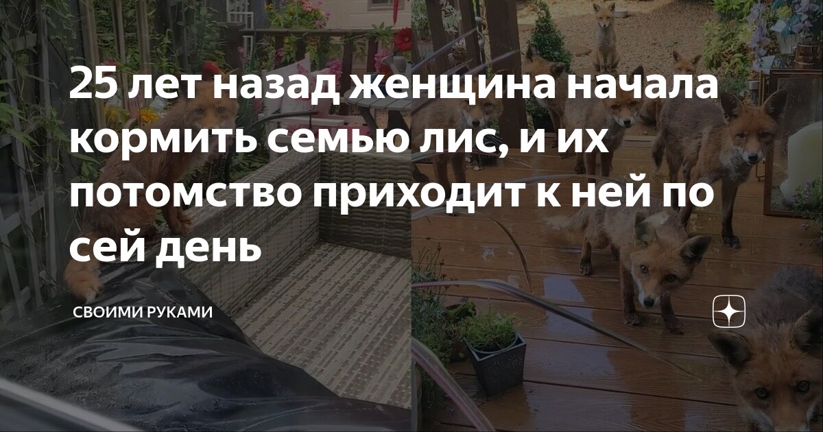 Как называют собаку женского рода