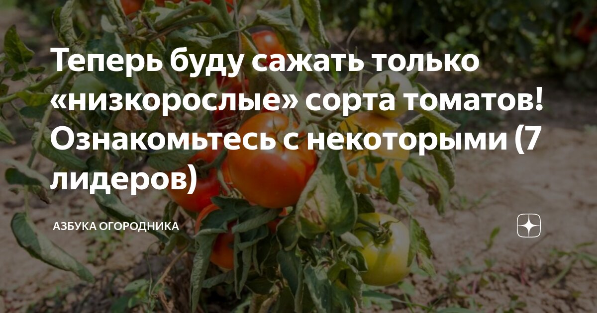 Притча о сокровище скрытом на поле. Сеять добро. Сеет время. Притча о семени. Что посеет человек то и пожнет библия.