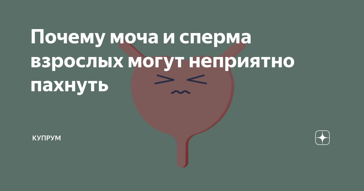 Мужчинам рассказали о причинах изменения запаха спермы: Питание и сон: Забота о себе: fireline01.ru