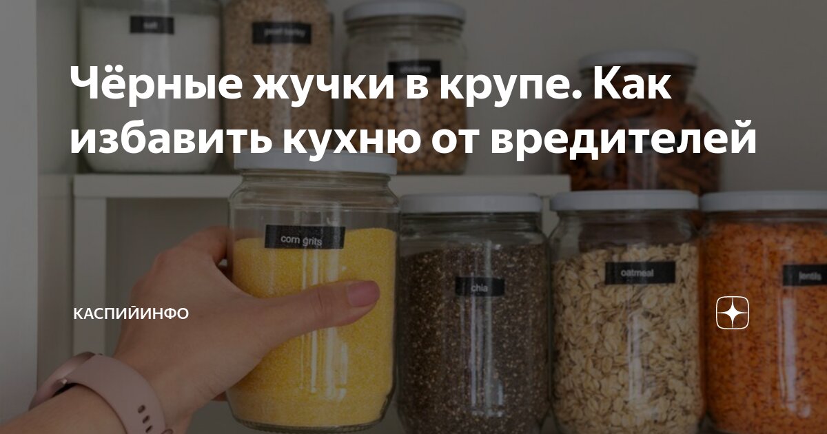 Как избавиться от черных жучков на кухне в крупах и шкафах