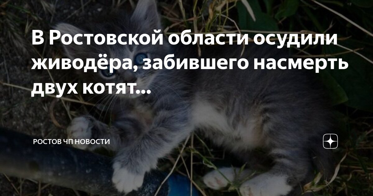 Ростов на дону дтп апрель 2021\. Трасса дон м 4 миллерово. Новости ростов чп. Новости ростов чп. Спасатели сальск.
