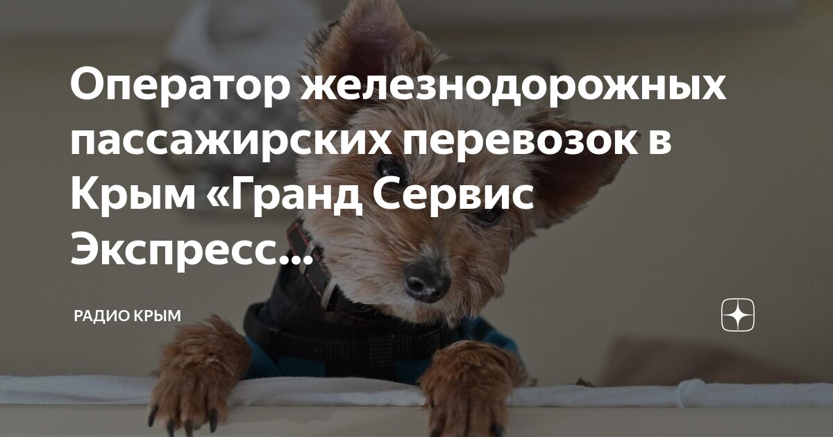 номер оператора жд. маневровый диспетчер инская. номер оператора жд. номер оператора жд. оператор поста централизации жд.