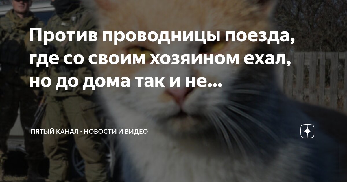 Электричка едет со скоростью 70 км/час. Ветер со скоростью 80 км ч. Электричка едет со скоростью 70. С какой скоростью едет поезд. Мотоциклист ехал 3 со средней скоростью.