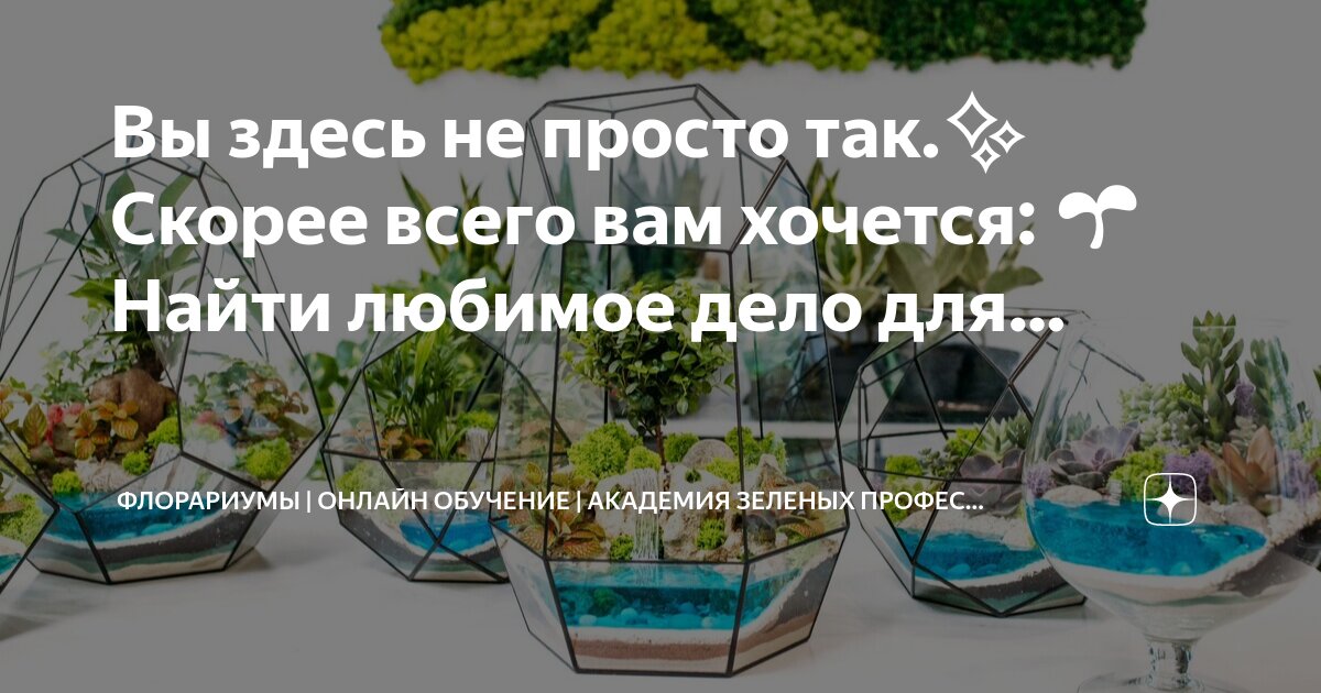 Евгений марченко финансовый советник. Самодисциплина простая академия. Самодисциплина простая академия. Самодисциплина самоконтроль картинка. Канал простая академия.