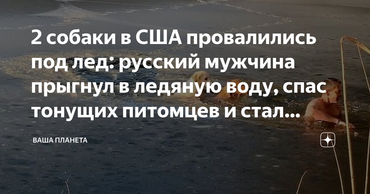 Твои питомцы тонут кого спасешь