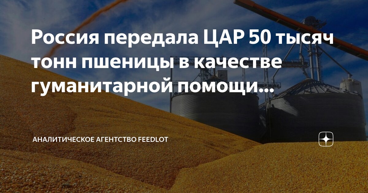 Пшеница код тн. Сколько стоит килограмм зерна пшеницы. Пшеница код тн. Собирают урожай пшеницы. Сертификат соответствия росс ru.