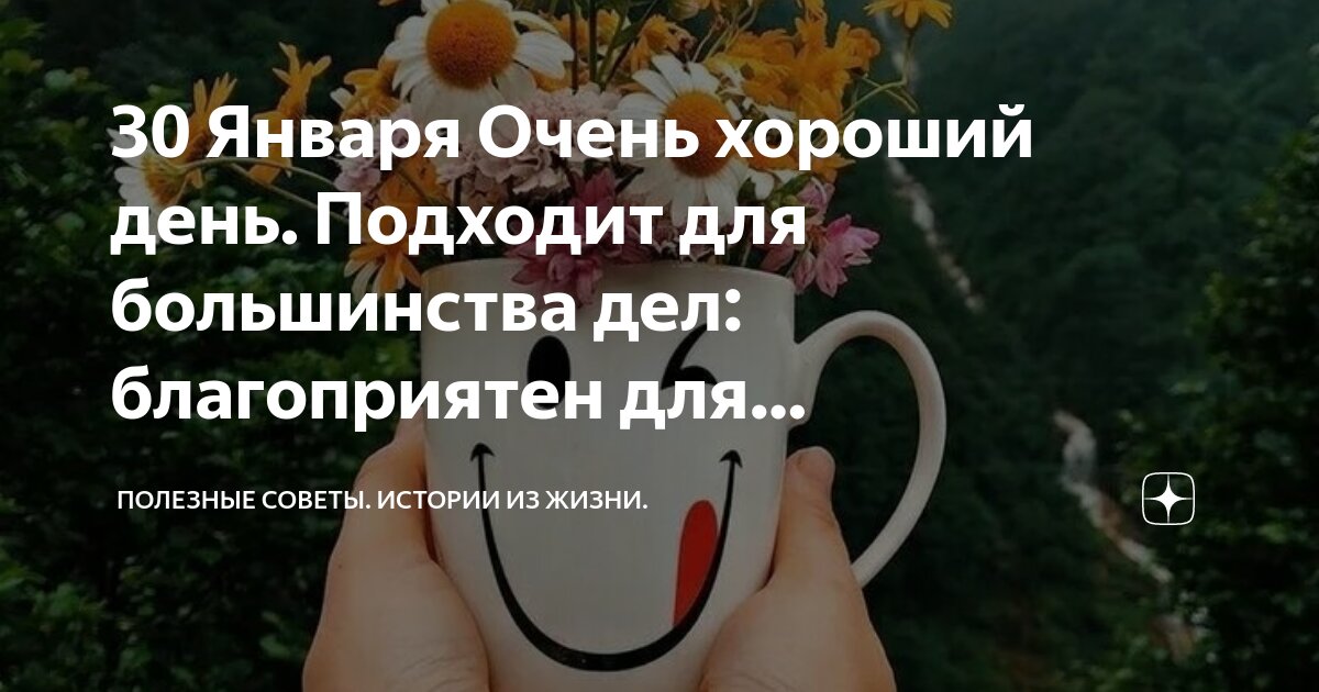 Добрый день дзен. Креативное утро. Добрый дзен дзен добрый. Чай на природе. Совушка с кофе.