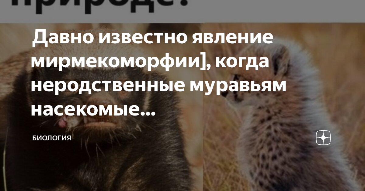 Названия с цифрой 7. Что связано с цифрой 7. Контрольная работа 1 по физике 8 класс тепловые явления. Явления число. Абсолютные статистические показатели выражаются.