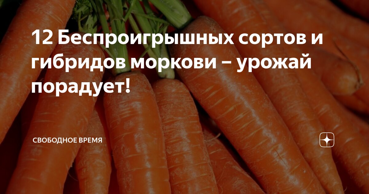 Чем полезна морковь. Морковь какой овощ. Интересные факты о моркови. Морковь "рогнеда". Морковь какой овощ.