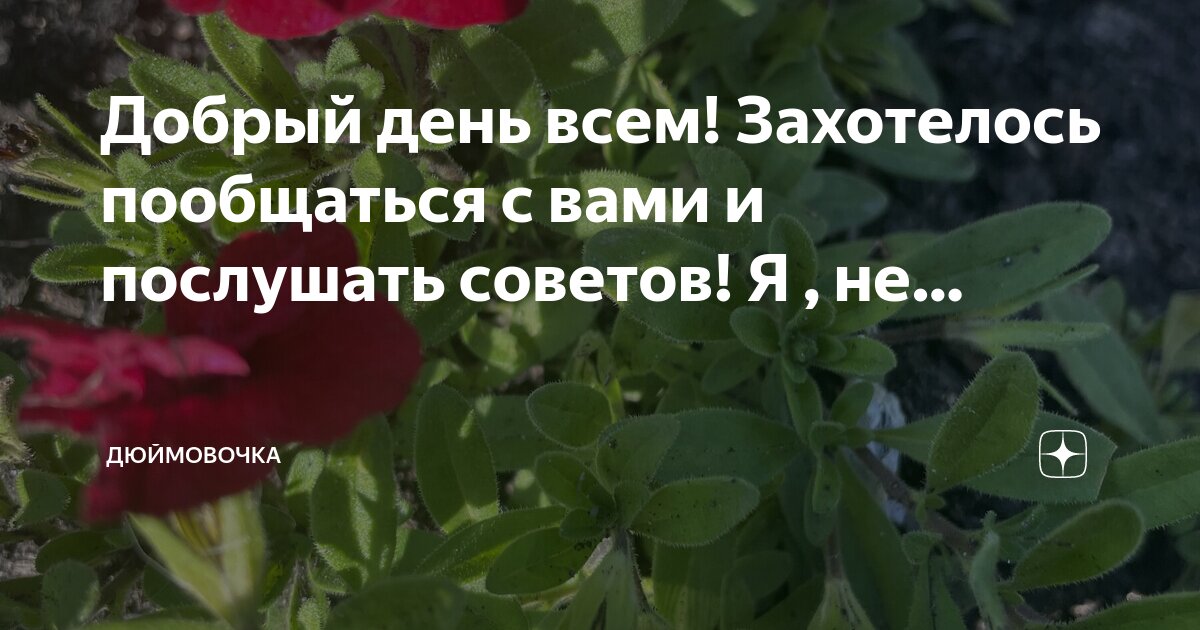 Ничего не хочется делать. Что хочу то и делаю. Делай то что хочется. Хотели как лучше а получилось как всегда. Делай то что хочешь.