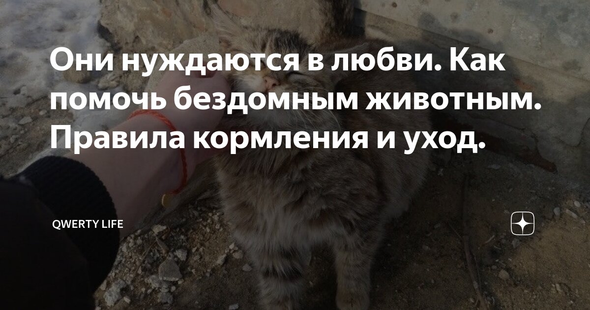 Жить и любить помогает. Чувство юмора цитаты. Природа помогает жить любовь помогает. Жить и любить помогает. Дарующая счастье.