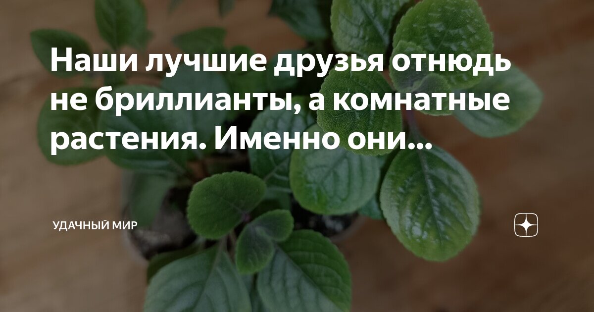 Смысл слова отнюдь. Отнюдь значение слова. Как правильно пишется невыгодно или не выгодно. Невыгодно мем. Отнюдь не выгодно.