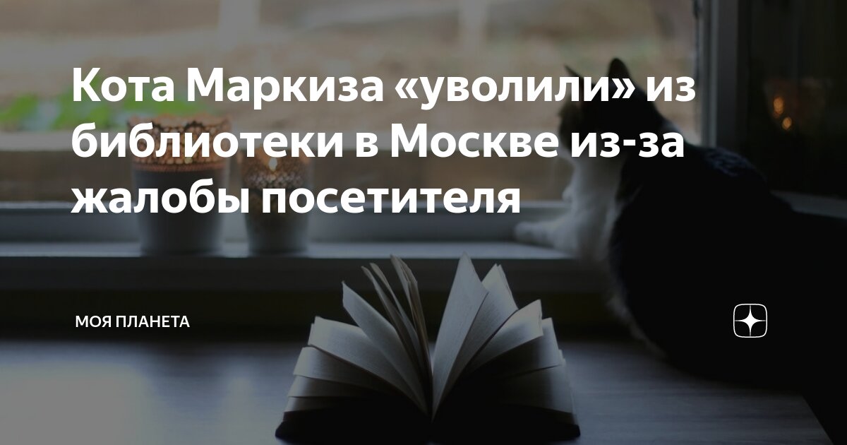 Кота маркиза уволили из библиотеки