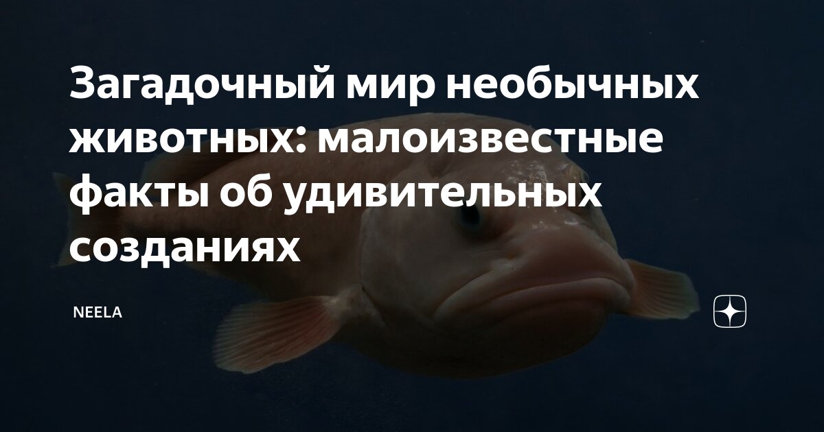 Оружие массового поражения вывод. Проникающая способность альфа бета и гамма излучения таблица. Альфа бета гамма излучения таблица. Оружие массового поражения. Поражен способностями.