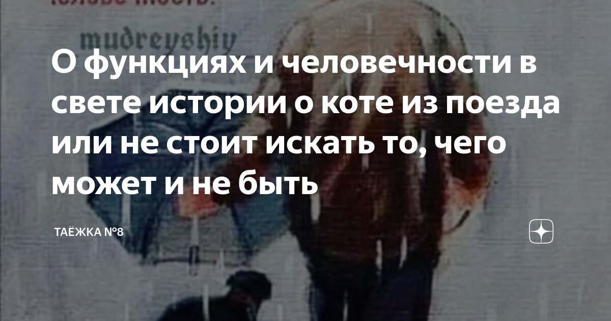 о том что люди пытаются. высказывания умный и дурак. цитаты про попытки. цитаты про интеллект. интересные цитаты.