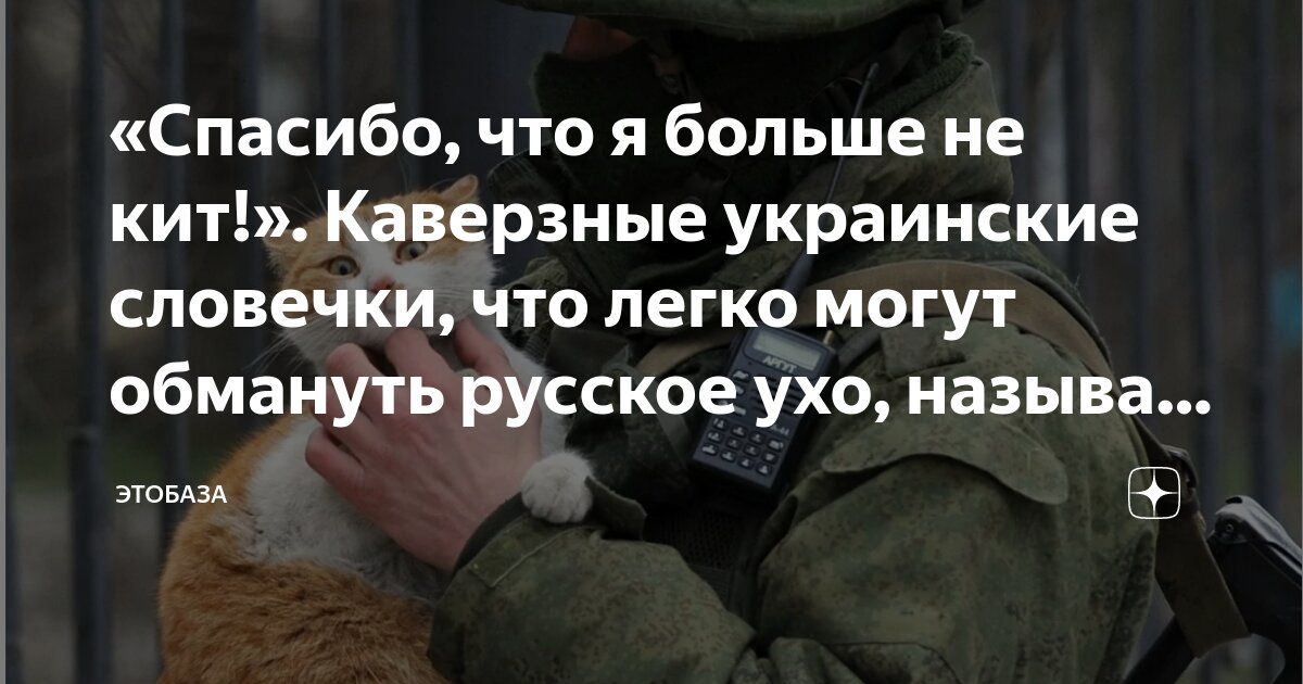 что такое территориальные диалектизмы. понятие диалектизмы. что такое диалектизмы в русском языке. история диалектов русского языка. диалектизмы определение.