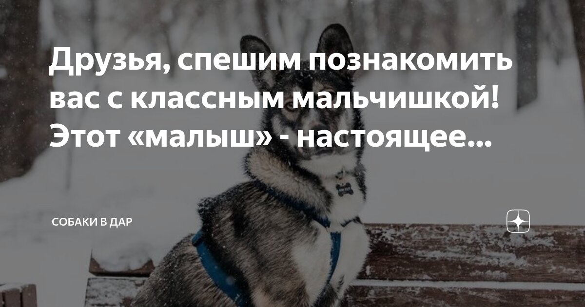 Доброта дети. Счастье даром обиженный. Девочка обнимает игрушку. Цитаты из пикник на обочине. Доброта и любовь.