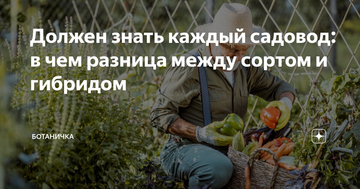 приятных забот. спасибо было очень вкусно. хорошего настроения на весь день. доброго вам дня и прекрасного настроения детям. радости в новом дне.