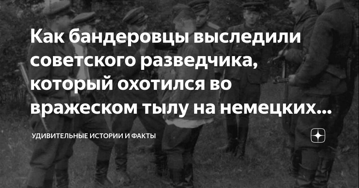 Фильм про тайский бокс. Бог любит пехоту. Рожденные воевать. Какие испытания выпали на детей в годы великой отечественной войны. Рожденные воевать.
