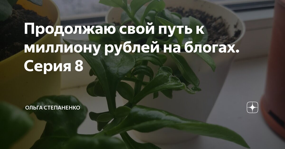 шутки смех до слёз.