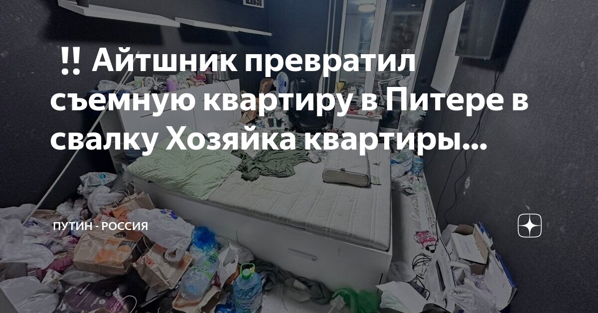 Профессия айтишник. Университеты для программистов. Что сдавать на айтишника в 9. «какие предметы надо здать на програмистра. It специалист.
