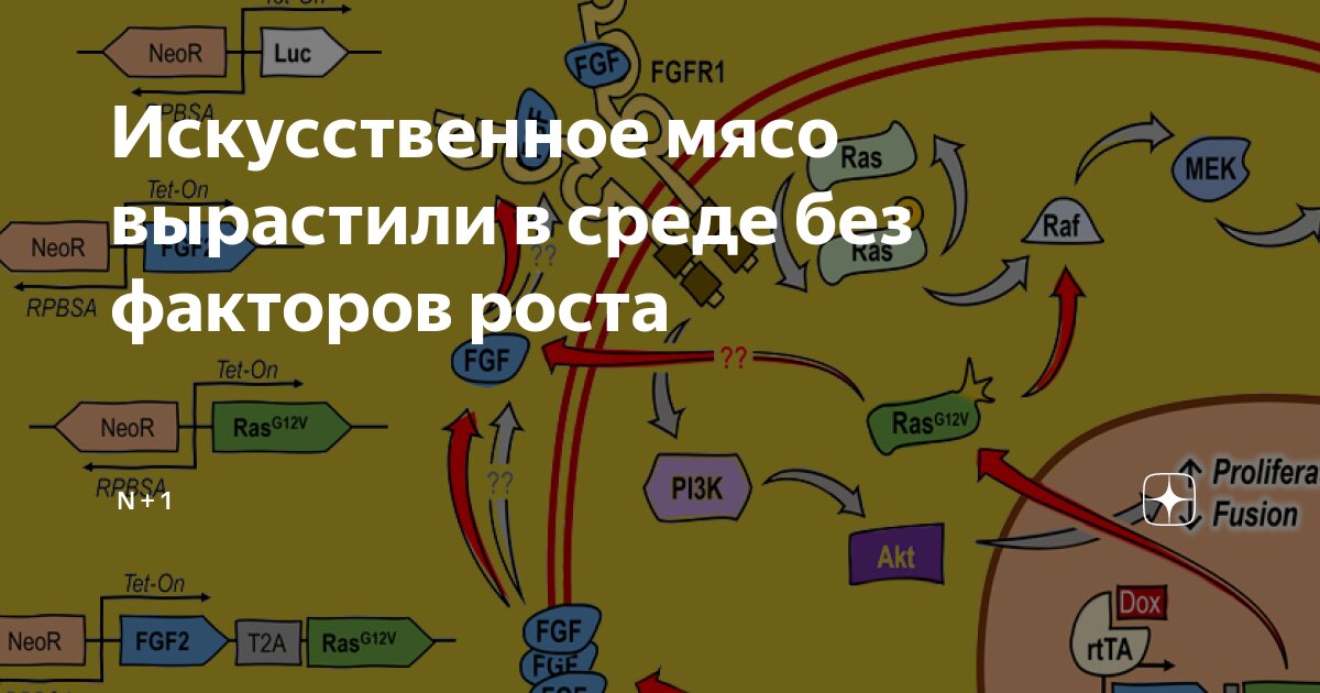 естественные физические факторы в реабилитации. фактор искусственный иммунитет. преформированные природные факторы. естественные физиотерапевтические факторы. искусственный фактор.