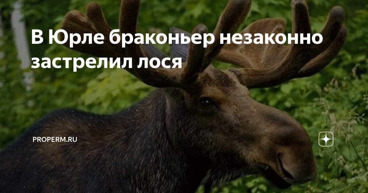 Акт о служебном расследовании в организации. Правомерные действия примеры. Порядок обжалования действий налоговых органов. Неправомерный акт. Приказ распоряжение о дисциплинарном взыскании образец заполнения.