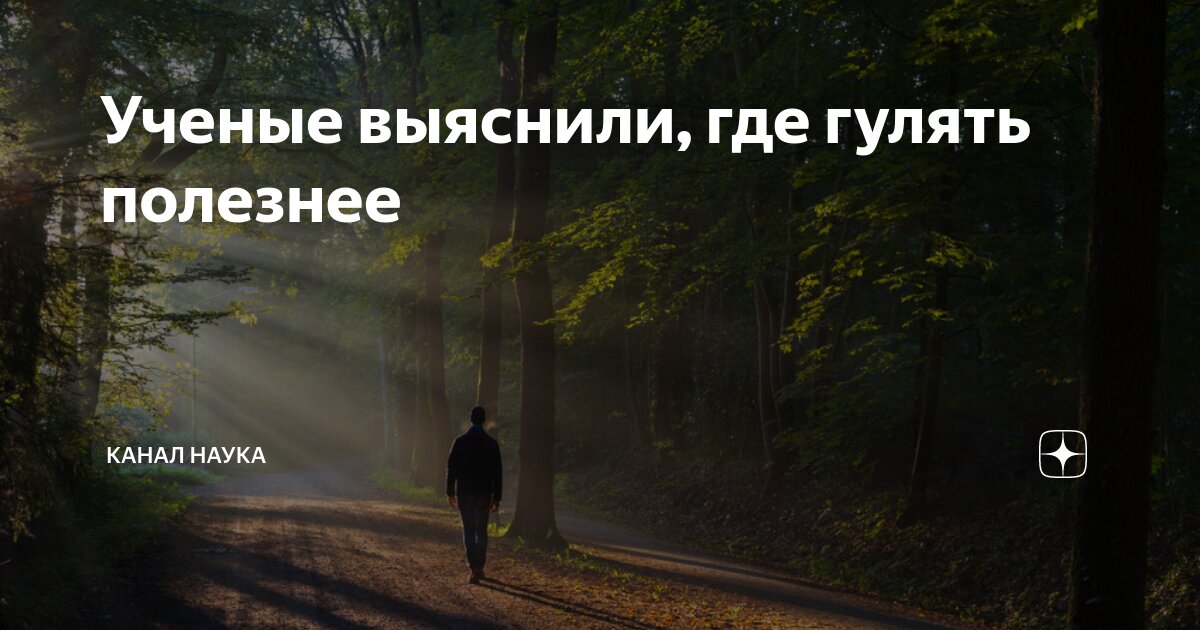 Гулять полезно. Прогулочная ходьба. Спорт скандинавская ходьба. Прогулки на свежем воздухе для детей памятка. Гулять полезно.