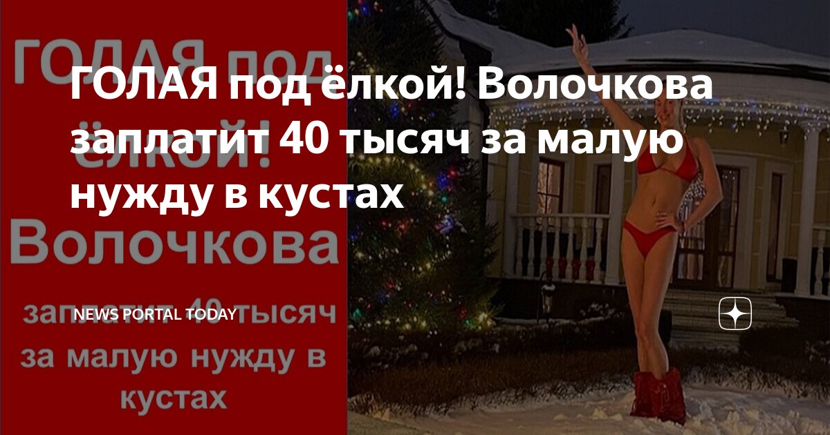 Сорока в лесу. Сороки и вороны. Новогодняя быль михалков. Диалог сороки и елочки. Михалков новогодняя быль фото.