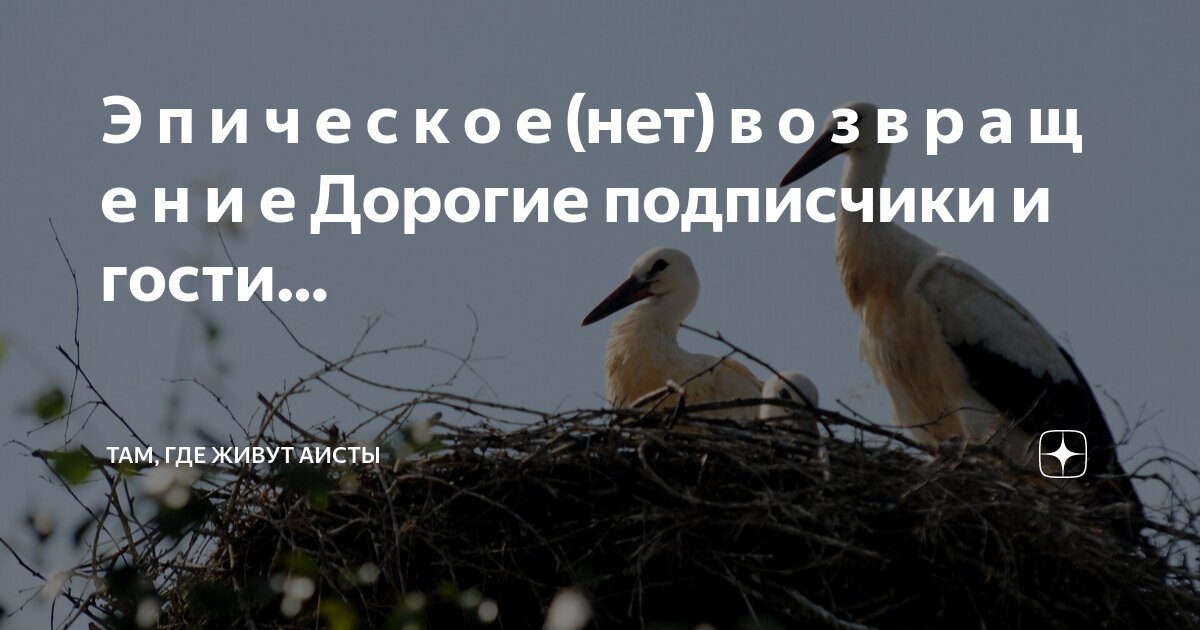 П. Буквы б в г д ж. Алфавит а б в г д. Буквы а б в г д е. Б в г д е е ж з и й.