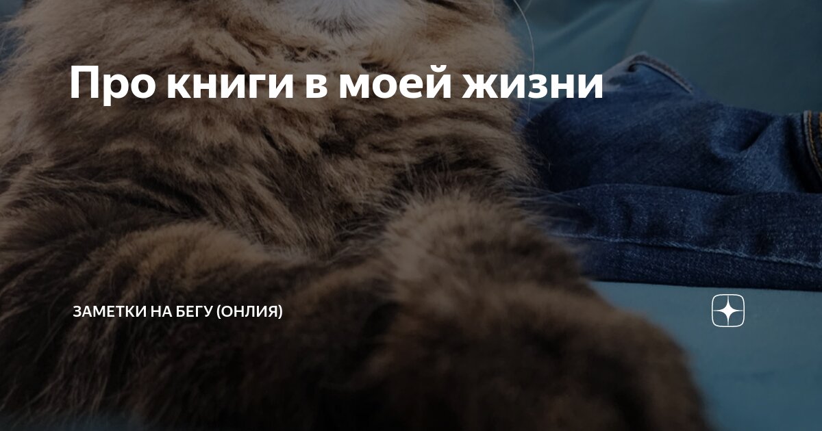 Рисунки к книге беги мальчик беги. Бегу читать. Ури орлев беги мальчик беги. Бег рисунок. Ури орлев беги мальчик беги.