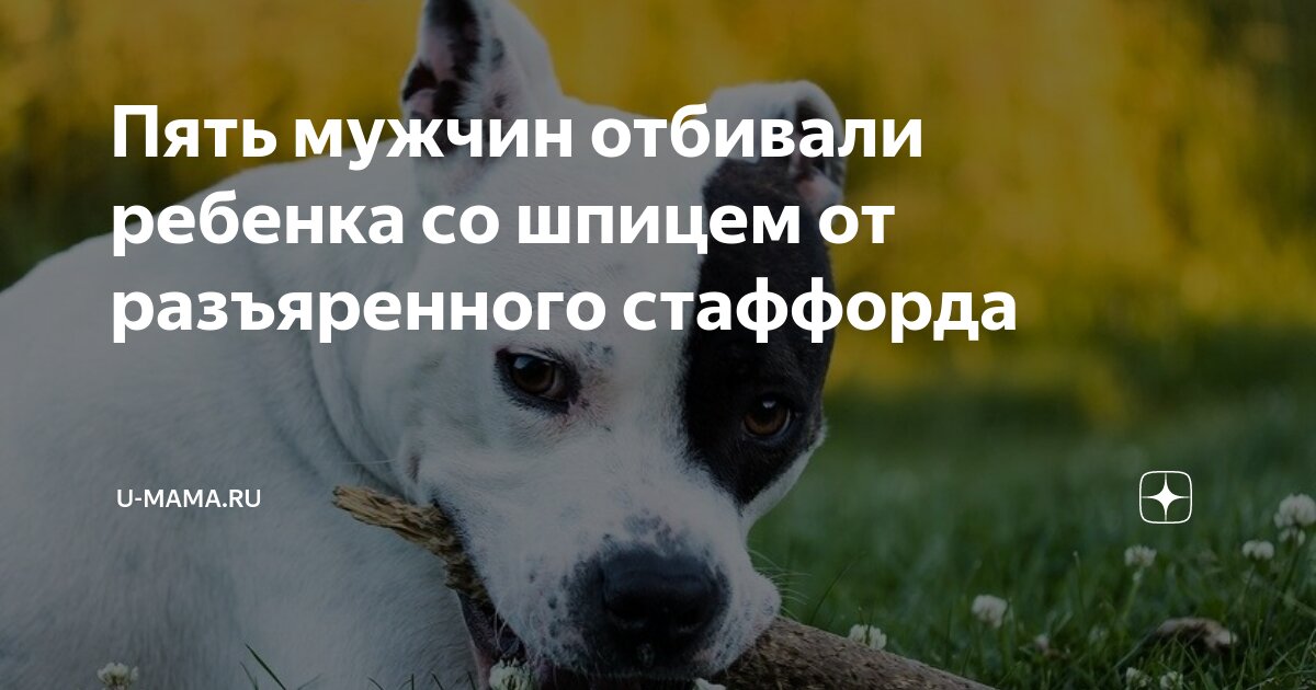 Ауфф нурминский. Что обозначает слово ауф. Ауф со дворов текст. Ауф со дворов текст. Ауф со дворов текст.