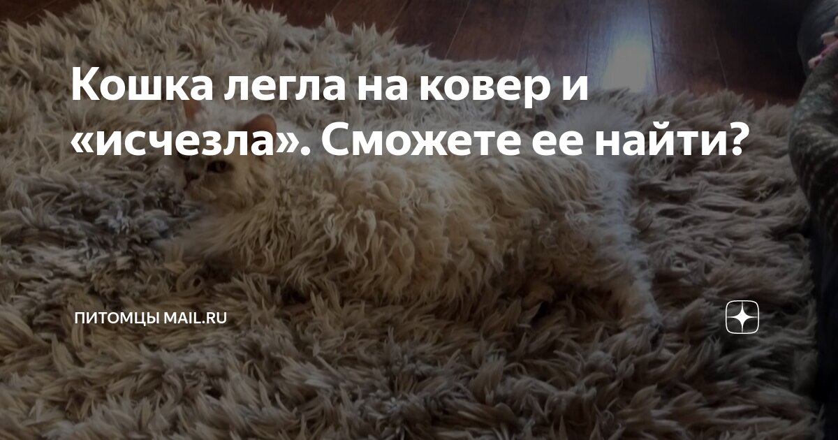 Математика любви ханна. Найди идеальную. Найди идеальную. Найди идеальную. Hannah fry.