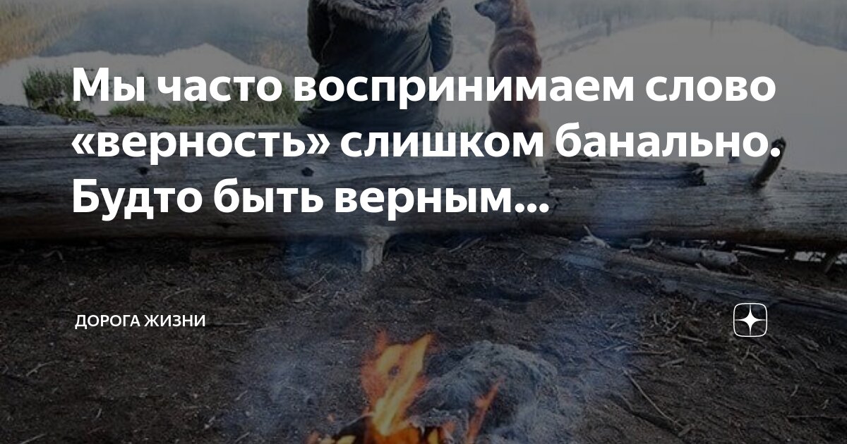 Преданность собаки афоризмы. Высказывания отсобаках. Высказывания о собаках. Собака и человек цитаты. Как правильно преданность.